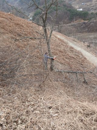 박수연님의 자유주제 · 자유게시판 작성글 사진