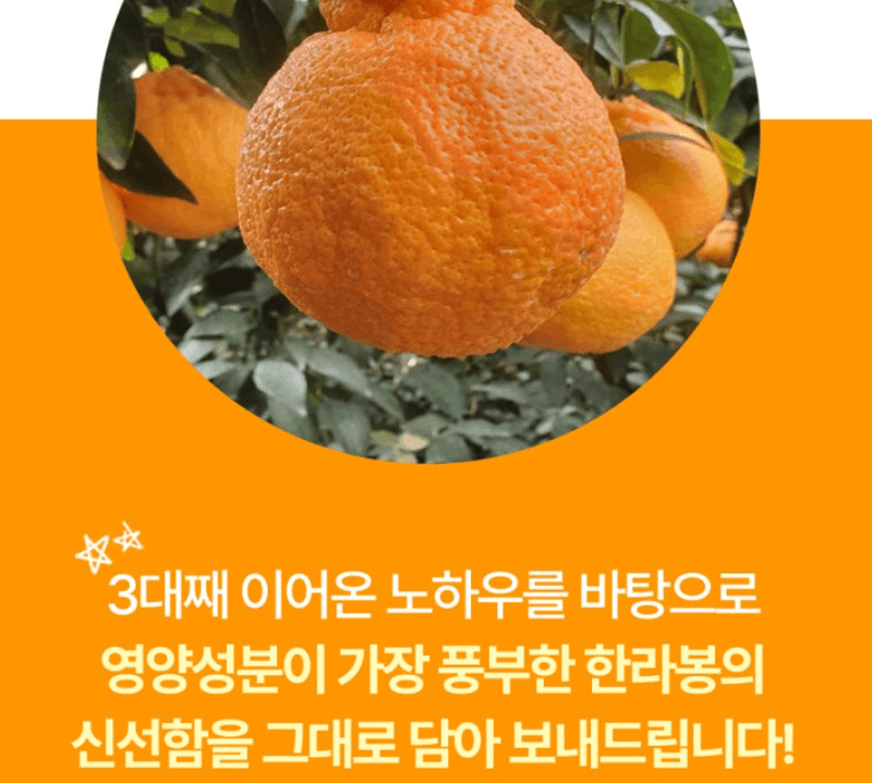 스피드번님의 장터 판매 상품 [특가 정품 천혜향/한라봉 ] 첨부 사진