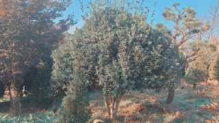 고광은님의 자유주제 · 자유게시판 작성글 사진