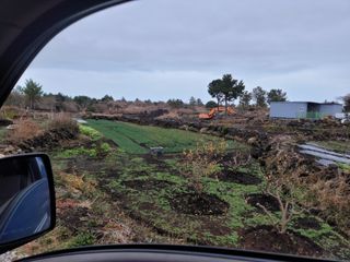 개인교수님의 자유주제 · 자유게시판 작성글 사진