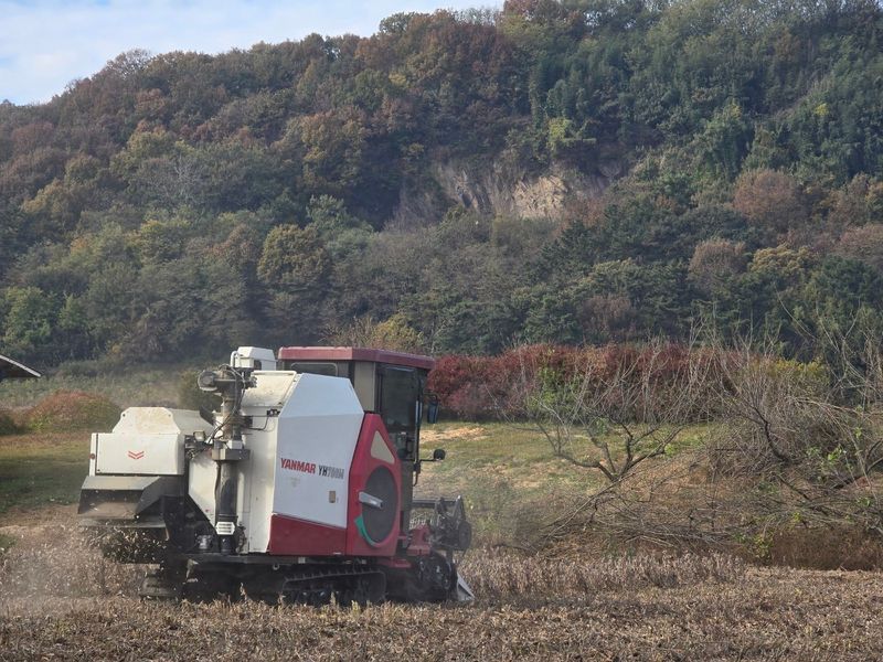 정진명님의 장터 판매 상품 [새바람 서리태 1kg] 첨부 사진