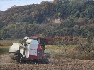 정진명님의 작성글 사진