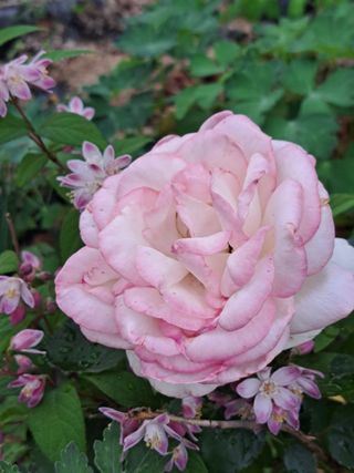 신여사님의 자유주제 · 자유게시판 작성글 사진