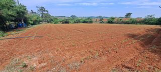 정진명님의 작성글 사진