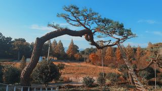 고광은님의 자유주제 · 자유게시판 작성글 사진
