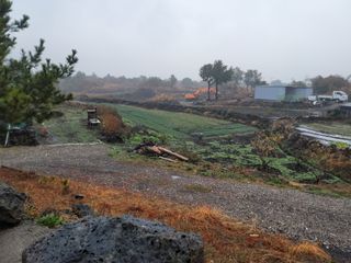 개인교수님의 자유주제 · 자유게시판 작성글 사진