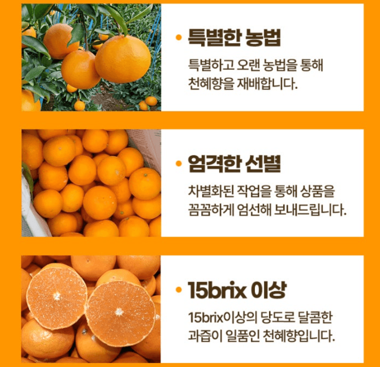 스피드번님의 장터 판매 상품 [특가 정품 천혜향/한라봉 ] 첨부 사진