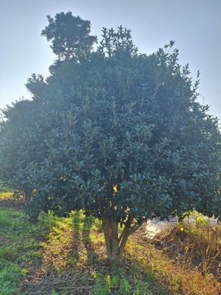 고광은님의 자유주제 · 자유게시판 작성글 사진