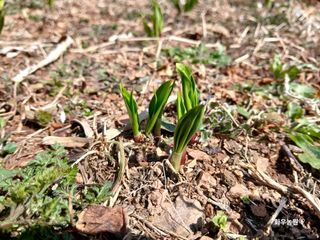 화우농원님의 자유주제 · 자유게시판 작성글 사진