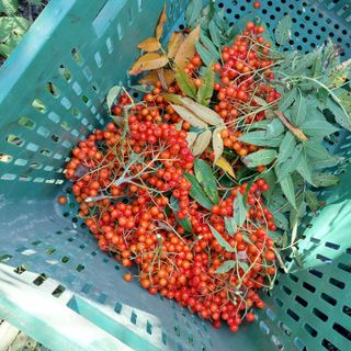 박수연님의 작성글 사진