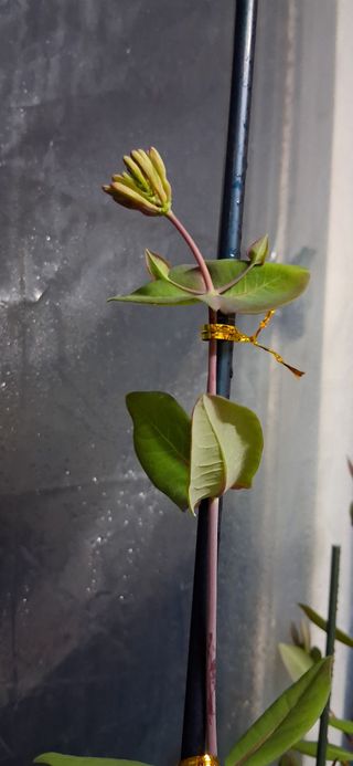 우철님의 자유주제 · 자유게시판 작성글 사진