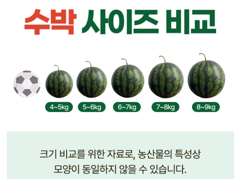 스피드번님의 장터 판매 상품 [하우스 수박] 첨부 사진