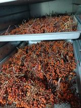 팜모닝 · 게시글 이미지