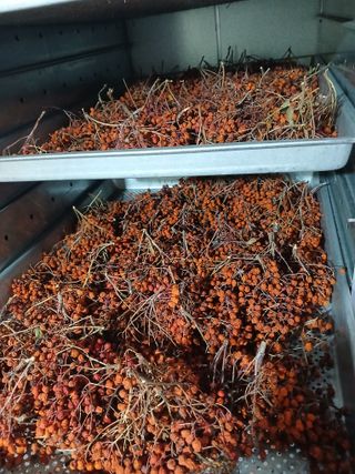 박수연님의 작성글 사진