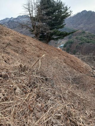 박수연님의 자유주제 · 자유게시판 작성글 사진