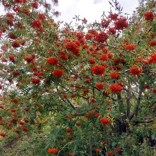 박수연님의 작성글 사진