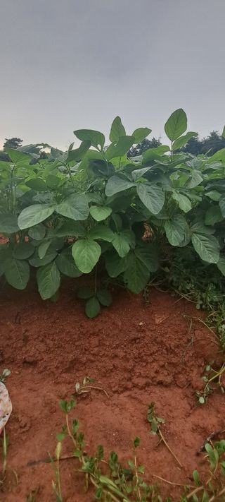 정진명님의 작성글 사진