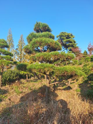 고광은님의 자유주제 · 자유게시판 작성글 사진