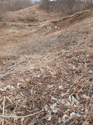 박수연님의 자유주제 · 자유게시판 작성글 사진