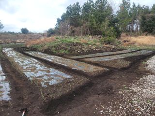 개인교수님의 자유주제 · 자유게시판 작성글 사진