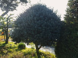 고광은님의 자유주제 · 자유게시판 작성글 사진