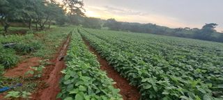 정진명님의 작성글 사진