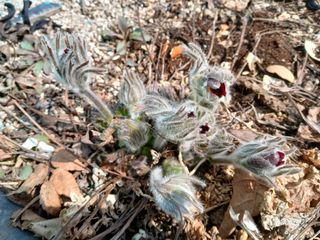 화우농원님의 자유주제 · 자유게시판 작성글 사진