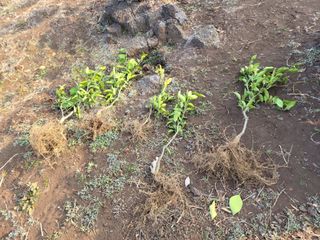 개인교수님의 자유주제 · 자유게시판 작성글 사진