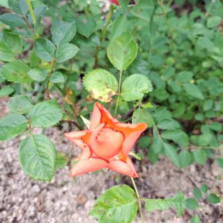 신여사님의 자유주제 · 자유게시판 작성글 사진