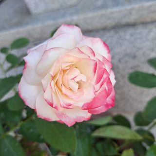 신여사님의 자유주제 · 자유게시판 작성글 사진