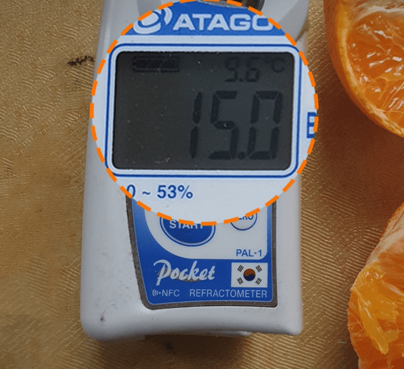 스피드번님의 장터 판매 상품 [특가 정품 천혜향/한라봉 ] 첨부 사진