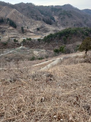 박수연님의 자유주제 · 자유게시판 작성글 사진