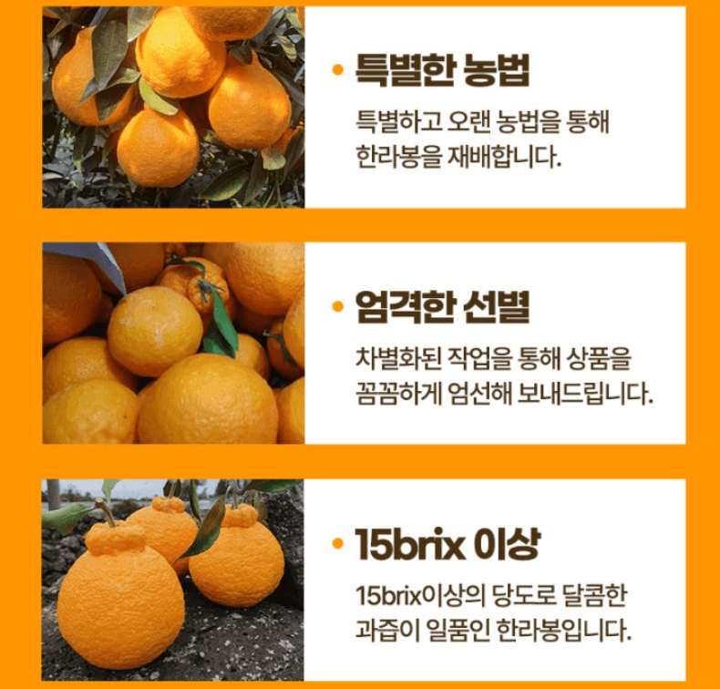 스피드번님의 장터 판매 상품 [특가 정품 천혜향/한라봉 ] 첨부 사진