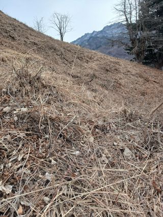 박수연님의 자유주제 · 자유게시판 작성글 사진