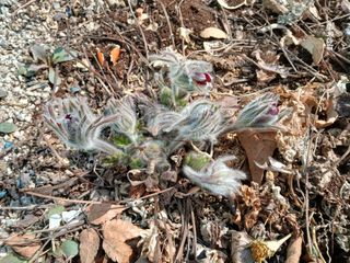 화우농원님의 자유주제 · 자유게시판 작성글 사진