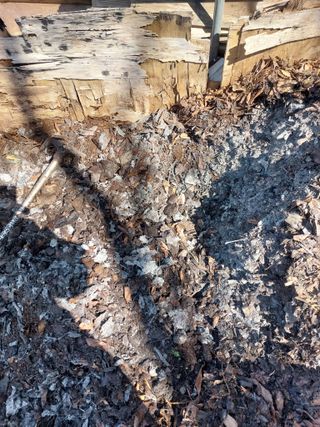 정대균님의 자유주제 · 자유게시판 작성글 사진