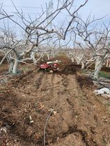 박사도사님의 자유주제·자유게시판 작성글 사진