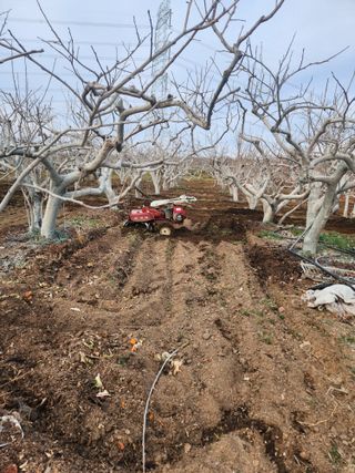 박사도사님의 자유주제 · 자유게시판 작성글 사진