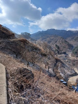 박수연님의 자유주제 · 자유게시판 작성글 사진