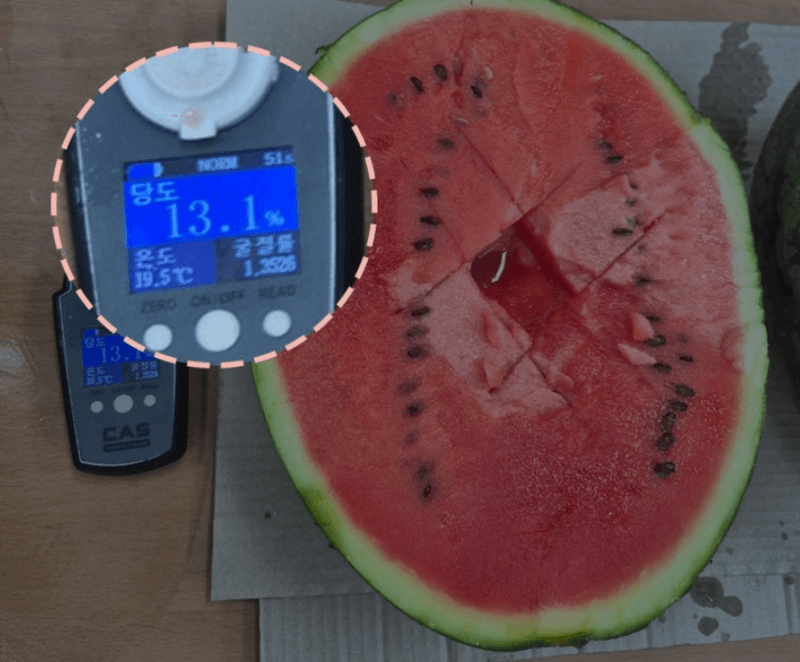 스피드번님의 장터 판매 상품 [하우스 수박] 첨부 사진