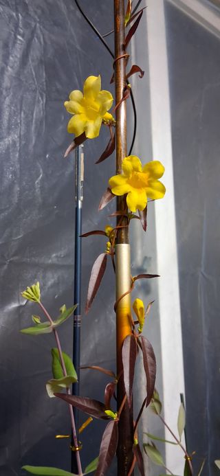 우철님의 자유주제 · 자유게시판 작성글 사진