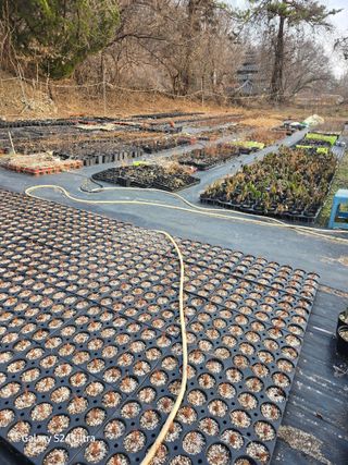 약초원 김종군님의 자유주제 · 자유게시판 작성글 사진