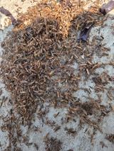 팜모닝 자유주제·자유게시판 게시글 이미지