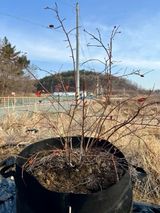 팜모닝 자유주제·자유게시판 게시글 이미지