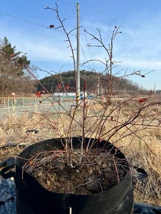 구자욱님의 자유주제 · 자유게시판 작성글 사진