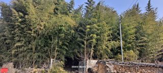 이형진님의 자유주제 · 자유게시판 작성글 사진