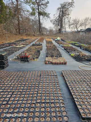 약초원 김종군님의 자유주제 · 자유게시판 작성글 사진