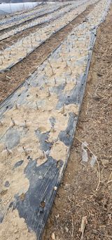 팜모닝 자유주제·자유게시판 게시글 이미지