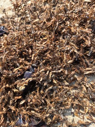 농촌사랑님의 자유주제 · 자유게시판 작성글 사진