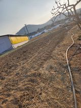 팜모닝 자유주제·자유게시판 게시글 이미지